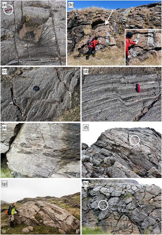 (a) Example of formerly rigid dropstone in layered troctolite, Central Series, north of the ‘whale-back’ (see text for details). In close proximity are folds and faults of layered rocks interpreted as products of slumping of accumulated crystal mushes. The ductile normal faults were probably caused by rapid down-throw towards the Long Loch Fault. (b) Formerly ductile slab of layered peridotite (brown) and troctolite (grey) that was draped over a peridotite breccia surface visible to the left and right, near NE shore of Long Loch. Inset shows a close-up of the once ductile peridotite and troctolite slab that flowed over an existing clast-rich breccia deposit as a ductile mush.(c)–(d) Minor normal and partly annealed fault in layered cumulates north of the Long Loch. The layers, now essentially vertical, are inferred to have originally been quasi-horizontal. Camera lens cap and pocket-knife for scale. (e) Sheared gabbroic clasts that form lenses and schlieren in host olivine troctolite at Lag Sleitir. Orange pen for scale. (f) and (g) Outcrop views of troctolite (light grey rock) with flattened and partly folded feldspathic peridotite inclusions (darker schlieren), Lag Sleitir. Pen and person for scale, respectively. (h) Rugged former ‘chamber floor topography’ overlain by formerly ductile slumps and rafts of troctolite, NE shore of Long Loch. Hammer for scale.
