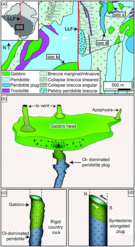 (a) Sketch map of the central part of Central Series, emphasising the three types of plugs found in the Central Series. Schematic cross-sections of (b) mushroom- or umbrella-like gabbro intrusion that probably connected to feeder plugs below and above. (c) Simple semi-circular conduit plugs of gabbro or peridotite that show no tectonic influence, reflecting intrusion during periods of tectonic quiescence. (d) Syntectonic plugs, with notable N–S elongations, which probably intruded during periods of active deformation along the Long Loch Fault (see text for details).