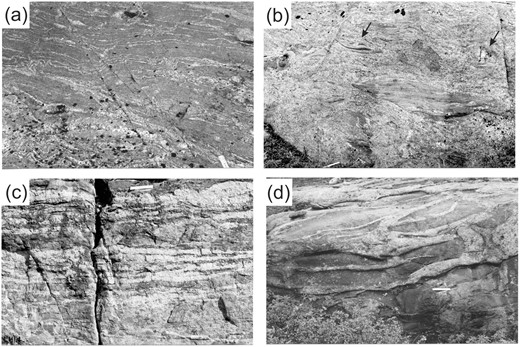Outcrop appearance of the Ashuanipi anatectic rocks. (a) Greywacke-derived metatexite migmatite with ∼15% leucosome; most are stromatic, but some are located in shear bands or between boudins. (b) Mesocratic diatexite migmatite showing asymmetric schollen of metatexite and vein quartz (upper right corner). (c) Metatexite migmatite containing thin layer-parallel sheets of K-feldspar-rich leucogranite. (d) Metatexite migmatite intruded by anatectic leucogranodiorite. Ruler is 15 cm long.