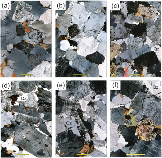 Microstructures in the diatexite migmatites. (a) Loose-packed framework of subhedral to euhedral plagioclase with interstitial quartz (with minor undulose extinction) and biotite. (b) Densely packed plagioclase framework from a tonalitic diatexite with interstitial K-feldspar + quartz + biotite. (c) Framework from a typical tonalitic mesocratic diatexite comprising subhedral to euhedral plagioclase and orthopyroxene with interstitial quartz; note that the orthopyroxene shows little alteration to biotite. (d) Framework in a granodioritic diatexite comprising subhedral crystals of plagioclase + K-feldspar with interstitial quartz. (e) Framework dominated by K-feldspar but also with plagioclase from a leucocratic diatexite; quartz is interstitial. (f) Subhedral crystal of orthopyroxene largely replaced by biotite in a K-feldspar + plagioclase framework. Scale bar represents 2 mm.
