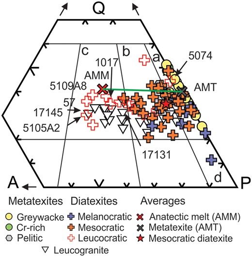 Quartz-alkali-feldspar-plagioclase (QAP) mesonorm plot. Metatexite migmatites plot along the Q-P join and into the tonalite field, diatexite migmatites extend from the tonalite to the monzogranite field, and leucogranites occupy the granodiorite and monzogranite fields. The average mesocratic diatexite lies to the right of the granodiorite field, and most mesocratic and melanocratic diatexites lie on the P side of the AMM–AMT tie-line. Lettered fields are: a, tonalite; b, granodiorite; c, monzogranite; and d, quartz diorite.