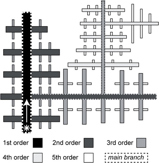 Sketch of a dendritic crystal, illustrating terminology used in this work (see Table 1 for details). The asterisk indicates the start of the dendrite. The hierarchical order of branches is indicated by shades of gray.