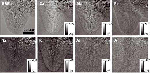 BSE image and x-ray element distribution map of a branching Cpx aggregate surrounded by glass. Insets give the scaling of detector counts per pixel to grayscale values in each image.