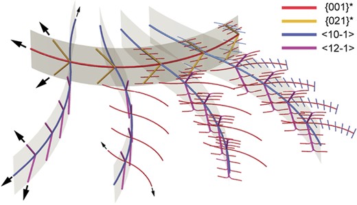 Single view of a 3-D sketch of the reconstructed dendrite morphology. Other views are shown in Supplementary Fig. S5. One (001)* ribbon and four <10–1 > ribbons are shown. Arrows indicate growth directions of the different branch types. The crystallographic elongation directions of branches are color coded according to the key in the upper right. For clarity, the spacing between branches in the model is exaggerated. The level of detail in the sketch increases from left to right, but this does not imply spatial or temporal variation of dendrite morphology. Relative curvatures are representative of the real dendrites. Due to their weak curvature, all <12–1 > and {021}* branches and short <10–1 > branches are drawn as straight.