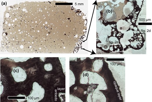 Transmitted plane-polarized light photomicrographs of the fulgurite sample in thin section. (a) Thin section scan showing decreasing size and abundance of voids from left to right and the dark, spongy crust at the edge of the sample. (b) Mosaic of photomicrographs showing a region of the spongy crust. Arrows indicate the location of the area within (a). The locations of (c) and (d) are marked. (c) and (d) Photomicrographs showing the spongy crust and opaque layer in detail. Domains with faceted dendritic morphology are visible as colorless branching crystals. Dendritic domains are darker and reddish-brown in color. Crystal-free glass is lighter and greenish-brown.