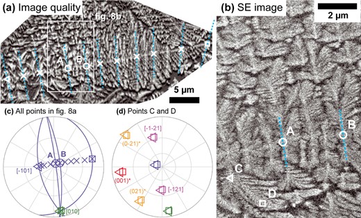 A Cpx dendrite viewed perpendicular to the b-axis. (a) Image quality EBSD map showing dendrite microstructure and numerous fringes. Locations where Cpx orientations are plotted in (c) are indicated by symbols. Two points where the <10–1 > direction is almost perpendicular to the sample surface are labeled A and B. Light blue dashed lines indicate the trace of the Cpx (101) plane according to the orientation measured at the point they intersect. (b) SE image of the area indicated by a white rectangle in (a). Points A and B and the traces of the (101) planes at those points are shown again. Above and below these traces, split curving branches are visible. Points C and D indicate the two locations on one curved branch for which orientations are plotted in (d). (c) Equal angle, upper hemisphere pole figure plot of the orientation of the Cpx dendrite at all points indicated by symbols in (a). The start and end of the profile are indicated by a triangle and square symbol, respectively. For the start and end points and points A and B, the (101) planes are plotted as curved blue lines. (d) Equal angle, upper hemisphere pole figure plot of the orientation of the Cpx dendrite at points C and D (locations indicated in (b), triangle and square symbols consistently indicate the same point in both figures). Crystallographic directions are indexed consistently in (c) and (d) and labeled the first time they appear.