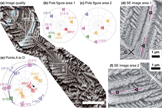 A Cpx dendrite viewed perpendicular to the b-axis. The growth direction is from bottom right to top left. (a) Image quality EBSD map showing dendrite microstructure and numerous fringes. Locations where Cpx orientations are plotted in (e) are indicated by X symbols and labeled alphabetically. For points C and D, the trace of the Cpx (101) plane according to the orientations measured at each point is indicated with light blue dashed lines. Two areas shown as enlarged SE images in (d) and (f) are indicated by white boxes. (b) and (c) Equal angle, upper hemisphere pole figures showing the orientation of Cpx at specific locations along <12–1 > branches in areas 1 and 2, respectively. The locations of each point are indicated in figures (d) and (f), the triangle and square symbols in the pole figures correspond to the symbols on the relevant SE image. Crystallographic directions are indexed consistently in (b) and (c) and labeled the first time they appear. The projections of branch-parallel <12–1 > directions for selected points are shown as solid purple lines overlain on SE images in (d) and (f). (e) Equal angle, upper hemisphere pole figure showing the orientation of Cpx at points A to D (shown in (a)). Key crystallographic directions are plotted and labeled for all points. For points C and D only, (101) planes are plotted as blue great circles.