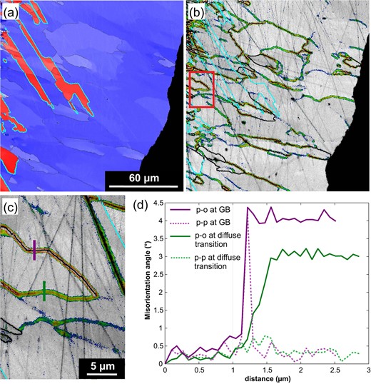 (a) Orientation map showing t$\upalpha $ (red) and t$\upbeta $ (blue) in a section of scan Py1. Crystal orientations are colored as in Fig. 5, $\Sigma $3 boundaries are marked in cyan and LABs are marked in black. Domains with moderately different orientations are frequently separated by diffuse transition zones. (b) Fifth neighbor kernel average misorientation maps using rainbow colors for the angular interval between 0.7$^{\circ }$ (blue) and 1.8$^{\circ }$ (red) of the same section as in a highlighting the diffuse transition zones and LABs (black solid lines). (c) Close-up of b showing the position of two orientation profiles in d. (d) Misorientation profiles showing point to origin (p-o) and point to point (p-p) misorientations for an LAB (purple) and a diffuse transition zone (green). The misorientation over the LAB is restricted to distances smaller than the step size of the scan of 100 nm. The cumulative p-o misorientation reaches 3$^{\circ }$ over a distance of about 500 nm across the diffuse transition zone while the p-p misorientation remains below 1$^{\circ }$.