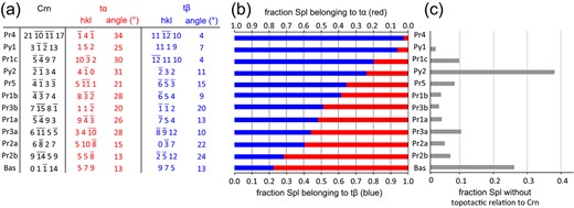 (a) Lattice planes parallel to the corundum-spinel interface for the corundum single crystal and for the ideal orientations of t$\upalpha $ and t$\upbeta $ for the spinel layer segments investigated by EBSD. The angles show the rotation of the t$\upalpha $ and t$\upbeta $ planes from the nearest $\{111\}$ or $\{110\}$ plane of spinel. (b) Relative fraction of t$\upalpha $ and t$\upbeta $ among spinel pertaining to either variant for all investigated scans. (c) Fraction of spinel not pertaining to either variant for all investigated scans.