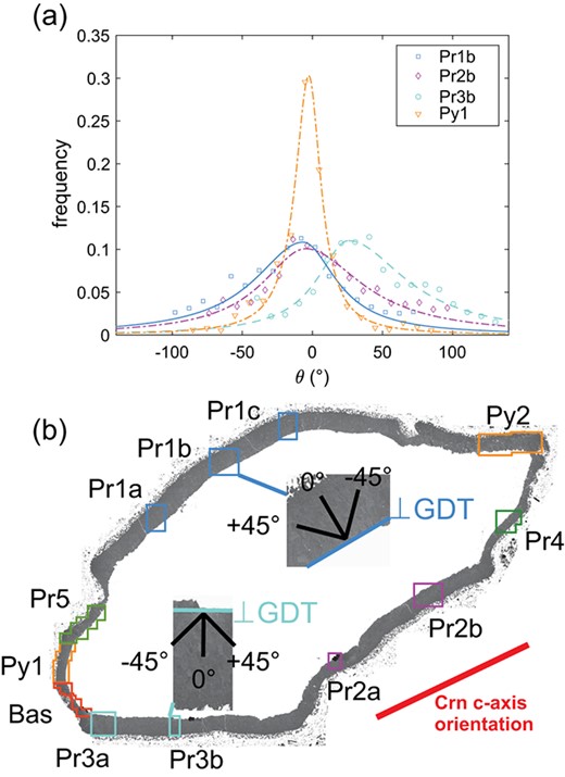 (a) Orientation distributions of the GB traces for scans Pr1b, Pr2b, and Pr3b corresponding to prismatic facets and for scan Py1 corresponding to a pyramidal facet of corundum. Symbols represent the measured length fractions and lines are fitted asymmetric Lorentzian functions. The trace of the growth direction (GDT) corresponds to $\theta $ = 0. (b) Stitched BSED images of the spinel rim with inverted grey values, showing the position of EBSD scans Pr1b and Pr3b and the corresponding orientation of the GDT with respect to the corundum c-axis projected to the sample surface.