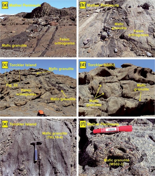 Photographs showing field occurrences of mafic granulites in the Rauer Group. (a) Mafic granulite layers within felsic orthogneiss, Mather Peninsula. (b) Mafic granulites lens within felsic orthogneiss, Mather Peninsula. (c,d) Mafic granulites occurring as bands and discontinuous layers within felsic orthogneiss, Torckler Island. (e) Outcrop of sample TKL18-4, mafic granulite with equilibrium texture, Torckler Island. (f) Outcrop of sample MS02-3, mafic granulite with reaction texture, Mather Peninsula.