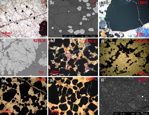 Photomicrographs and backscattered electron micrographs of representative dunites and chromitites in the Luobusa (a–c) and Kızıldağ ophiolites (d–f), and Gaositai Alaskan-type complex (g–i). (a), (f), (g), and (h) are plane-polarized light. (c) and (e) are cross-polarized light. (a, b, e, g, h), disseminated chromitite; (c, d) nodular chromitite; (f, i), dunite with cumulus texture.