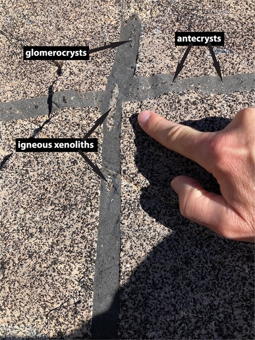 Illustration of the disintegration of igneous xenolith into glomerocrysts and antecrysts in a thin mafic dyke crosscutting the Adamello batholith, Italy. While not in the circum-Pacific setting, it provides a good example of the fundamental process at hand. Further information on these dykes can be found in Pimenta Silva et al. (2023).