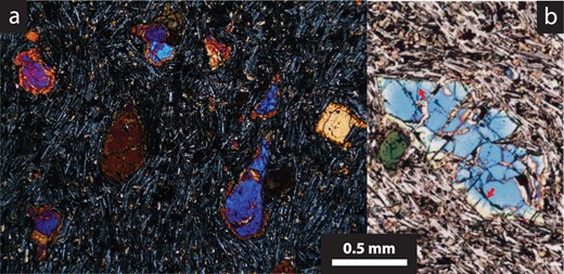(a) Cross-polarized light image of mesocrysts of olivine in a basalt from Daisen volcano, southwest Honshu, Japan, set in a fine-grained groundmass dominated by plagioclase microlites that display a trachytic texture. (b) Cross-polarized light image of an olivine macrocryst from another Daisen basalt, displaying irregularities and discontinuities in the thickness of the rim, some of which are indicated by the arrows (adapted from Tamura et al., 2000).