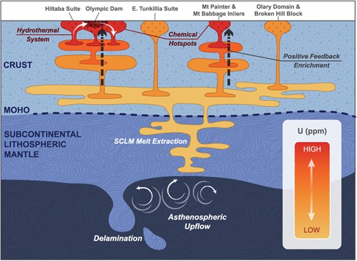 Schematic diagram illustrating the development of a chemical hotspot within the basement rocks of the Curnamona Province and the Gawler Craton. Asthenospheric upflow at ca. 1.7 Ga and 1.6 Ga (potentially related to delamination following the model of Skirrow et al. (2018) leads to partial melting of the subcontinental lithospheric mantle beneath the Curnamona Province and the Gawler Craton. This source is tapped during 1.7 Ga to 1.6 Ga magmatism in the Curnamona Province (producing normal to extremely radiogenic rocks) and Gawler Craton, as well as during 1.7 Ga mineralization of the Broken Hill ore body. At ca. 1.6 Ga the emplacement of large volumes of melt into the thickened post-orogenic crust drives prolonged crustal anatexis and multiple steps of partial melting, initiating a positive feedback loop which ultimately results in the formation of a chemical hotspot through strong concentration of incompatible, heat producing elements (i.e. U, Th, K). In our proposed model, the degree of melt enrichment is a function of insulation controlled by crustal thickness and heat-supply from asthenospheric upwelling and radiogenic heat production.
