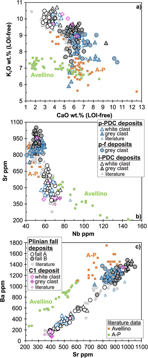 (a) K2O vs. CaO, (b) Sr vs. Nb and (c) Ba vs. Sr diagrams for the investigated Vesuvius 79 AD PDC juvenile whole-rock samples and for the juvenile components from the deposits of the Avellino eruption and of the A-P inter-Plinian activity (between the Avellino and Pompeii Plinian eruptions). Source of 79 AD literature data as in Fig. 4. Literature data for Avellino are from Barberi et al. (1981), Joron et al. (1987), Civetta et al. (1991), Civetta & Santacroce (1992), Ayuso et al. (1998), Cioni et al. (1998), Signorelli et al. (1999), Sulpizio et al. (2010) and Melluso et al. (2022). Literature data for the A-P activity are from Joron et al. (1987), Civetta & Santacroce (1992), Ayuso et al. (1998), Cioni et al. (1998), Andronico & Cioni (2002) and Piochi et al. (2006).