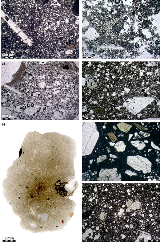 Representative plane polarised light view photomicrographs and thin section scan (e) of the investigated juvenile samples from the Vesuvius 79 AD eruption deposits. (a) fall A sample SVAA1pb, with sanidine phenocryst (bladed, left) and garnet microphenocryst (lower right); (b) fall B SVAB3pgs, with colourless clinopyroxene and sanidine microphenocrysts (centre) and biotite microphenocryst (right); (c) C1 white pumice clast sample PZ1C1pb with sanidine phenocryst (left) and leucite microphenocrysts (polygonal, centre); (d) p-PDC grey pumice sample PCU68E1centropg, with sanidine (right) and colourless clinopyroxene (left) and amphibole (lower left) phenocrysts and tiny leucite groundmass microlites (e.g. centre); (e) p-f sample CR3Dpg (level D), showing a grey pumice clast with a large dark patch with large crystals (centre right); (f) dark patch of panel e, with colourless clinopyroxene, biotite and green clinopyroxene (centre top) phenocrysts and a large olivine phenocryst (colourless, left); (g) grey pumice clast of panel e, with olivine (centre), clinopyroxene and biotite phenocrysts.