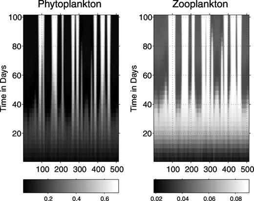 plankton patchiness and its effect on larger scale productivity example of patch generation in the quadratic mortality version of the model with random initial conditions