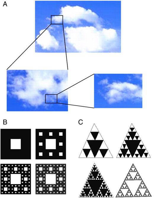 Illustration of the nested structure perceptible in the geometry of clouds (A) and the geometry of two theoretical fractal objects, the Sierpinskin carpet (B) and the Sierpinski gasket (C); modified from Seuront (Seuront, 2009). A colour version of this figure is available online.