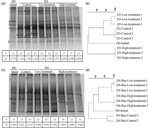 DGGE profile and dendrogram classification of heterotrophic bacteria 16S rRNA gene fragments from samples of control, low and high treatment at C3a (a and b) and S412 (c and d). D0, initial; D3 (4), Day 3 (4).
