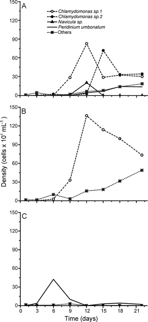 Absolute cell densities during the succession experiments performed with phytoplankton assemblages isolated from the Azul Lake under L + N (A), L + N + OC (B) and N + OC (C) culture conditions.
