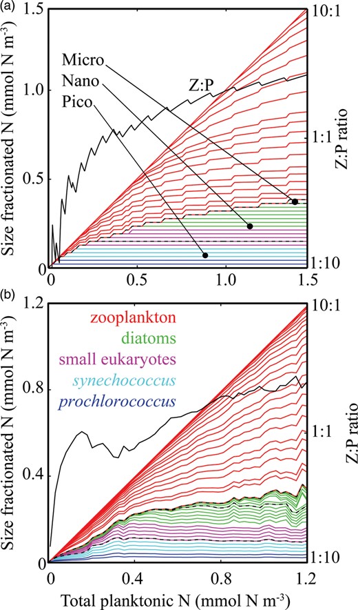 Community size structure with increasing total plankton biomass in (a) the idealized food-chain model and (b) the global food-web model. For both panels, biomass in each size-class is presented cumulatively, and distances between the lines indicate individual phytoplankton and zooplankton biomasses. The uppermost line in each group represents total phytoplankton and zooplankton biomass. Colours correspond to the plankton taxa (see legend), while dotted black lines represent the biomass in pico-, nano- and microphytoplankton. Equilibrium Z:P ratios are shown with a black line corresponding to the right-hand axis (log scale). Global model biomass data are annual mean values for the surface layer, within 50 equally spaced bins of total phytoplankton and zooplankton biomass.