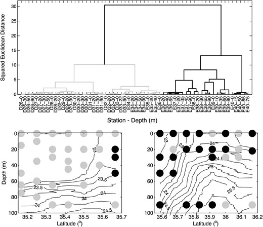 Top panel: dendrogram showing the phytoplankton community structure in the study area, using combined data from both transects D and E. Each data point is identified on the x-axis by its station number and depth. The bottom panel shows the location of the two phytoplankton community groups mapped back into space across the front, σt contours are shown by solid black lines.