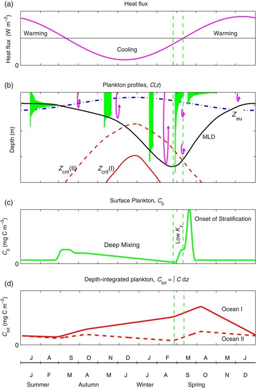 Schematic annual cycles for the temperate and subpolar oceans where deep winter mixing replenishes nutrients, (a) air-sea heat flux; (b) phytoplankton concentration profiles (filled profiles), along with the ML depth (MLD, solid line), the depth of the photic zone (Zeu, dash-dotted line). Also shown are critical depths (Zcrit, dashed and continuous lines) for hypothetical Oceans I and II, where Ocean II is light-limited in winter, whereas Ocean I is not. The vertical scale of the mixing is indicated by overturn arrows; (c) surface plankton concentration, C0; and (d) depth-integrated phytoplankton, Ctot, for the two hypothetical Oceans. Vertical dashed lines show the times of deepest ML and the cessation of vertical overturn. These times mark the transition from deep-mixing to low-turbulence to stratified regimes, respectively (see text). The x-axis shows northern and southern hemisphere months.