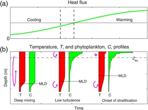 Schematic of the transition from deep-mixing to low-turbulence and then stratified regimes, (a) heat flux with dashed lines showing the times of deepest ML and the cessation of vertical overturn; and (b) profiles of temperature, T and phytoplankton, C (filled profiles). The vertical scale of the mixing is indicated by the overturn arrows, and the ML depth (MLD) is shown based on a density difference relative to surface values. During deep mixing in winter, both temperature and phytoplankton are well mixed to the MLD. In late winter or early spring, convective overturn becomes weak enough that it cannot maintain this deep mixing, and the ocean enters the low-turbulence regime, where the ML becomes remnant. In the low-turbulence regime phytoplankton are not well mixed vertically and can accumulate in the photic zone (Zeu). When the heat flux becomes positive, shallow warm surface layers appear. This stratification can support a strong surface spring bloom. During the transition from deep mixing to stratified regimes, diapycnal mixing across the pycnocline, causes a MLD defined by a density difference criterion to rise. This can lead to a correlation between MLD ‘shoaling’ and bloom initiation.
