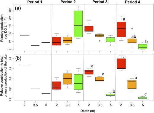 Boxplots of (a) GPP in the epilimnion (2 and 3.5 m depths) and the deep layer (5 m depth) and (b) relative contributions to the total production of the lake. Boxplots show the median, first and third quartiles, with minimum and maximum values at both ends. Sampling occurred on one date in P1, four dates in P2 and five dates in P3 and P4. Boxes within each period that have different letters indicated are significantly different (P < 0.05).