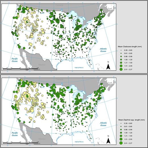 Distribution maps showing mean cladoceran length (top) and mean Daphnia length (bottom) for all lakes sampled. Point magnitude indicates mean length within a single lake. Lakes at elevations below 1000 m are shown as filled green circles, while lakes at elevations above 1000 m are shown as filled yellow circles.