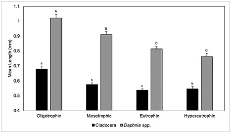 Mean lengths (mm) for all pelagic Cladocera and for Daphnia spp. alone for each TSI tier (± standard error). Superscripted letters represent significant differences between mean lengths for TSI categories (Dunn’s test).