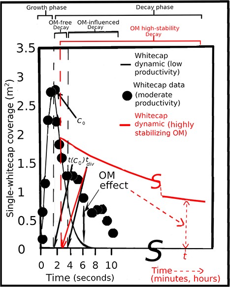 Plot of whitecap coverage Ct vs. time t. The filled circles show the measured foam area time series of an oceanic whitecap from the SPACE08 data set (Callaghan et al., 2012). The black curve is estimated from evolution in the absence of OM effects, which was found following the method described in Callaghan et al., (2017). The left-hand vertical dashed line marks the time t(C0) of the transition from the growth to the decay phases of whitecap foam evolution, when the maximum foam coverage C0 is reached. The right-hand dashed line marks the time tdiv of the transition from OM-free (“universal”) foam decay to OM-influenced foam decay, when OM effects are present and start to become important. The data on OM-influenced foam decay are from observations by Callaghan et al. (2012) under moderate biological productivity. The red curve is intended as an embryonic framework to plan future measurement and modeling of foam decay in the presence of highly stabilizing OM, such as that produced during blooms of the rhaphidophyte Phaeocystis globosa, which is often observed to give foam lifetime of tstab (minutes to hours). In the growth phase, the slope of Ct vs. t is positive until it reaches a maximum, designated C0. The decay phase then begins and the slope of Ct vs. t becomes negative. The value of this slope is most negative for OM-free, less negative for OM-influenced and least negative for highly OM-stabilized foam. Examples of stabilized foam are shown in Fig. 2 and in Supplementary Video 1. Note the discontinuity in the time axis and in the red curve. Inspired by Fig. 1 in Callaghan (2018), with modifications and additions.