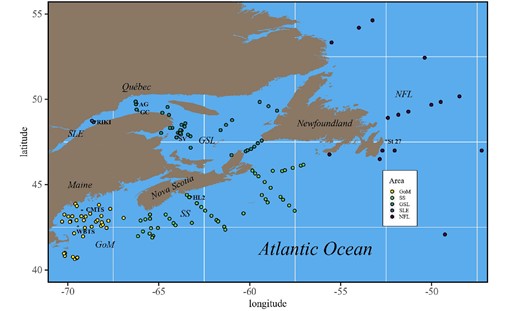 Map of the study area with the main regions of comparison in the Northwest Atlantic Ocean (GoM, GSL, SLE, SS and the NFL region). Asterisks indicate approximate positions of the fixed stations in each region. Easternmost sampling points in NFL area are not shown (47°N, 43°W and 47°N, 43°4’W).