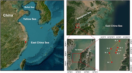 Sampling stations (dots) in Tie Harbor of Xiangshan Bay (star). The yellow arrows indicate the sampling sequence of the stations.