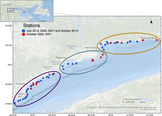 Map describing the sampling stations located along the north coast of LSLE. Stations in blue were sampled in July 2019, 2020 and 2021 and October 2019. Stations in red were sampled in October 2020 and 2021. Ellipsoids represent the different sectors: “Forestville” in purple (left), “Manicouagan” in green (middle) and “B-C” in orange (right). Global map on the top is the location of the study area in the St. Lawrence estuary. GSL, Gulf of St. Lawrence.