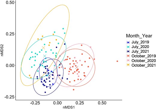 Non-metric multidimensional scaling based on species assemblage (Bray–Curtis dissimilarity) per month and year. The “X” in the middle of the ellipses represents the centroid of the groups. Stress = 0.13.