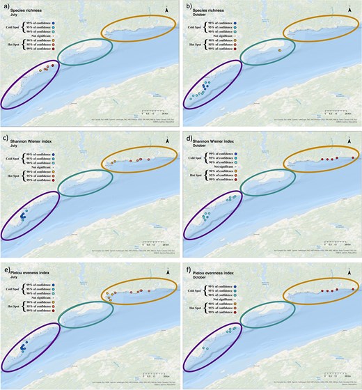 Maps indicating the distribution of hotspots (red shades) and coldspots (blue shades) of (a, b) species richness, (c, d) Shannon-Wiener index and (e, f) Pielou index in July (left panels) and October (right panels) all years pooled, in the sampling area. Sectors are represented by ellipsoids, “Forestville” in purple (left), “Manicouagan” in green (middle) and “B-C” in orange (right).