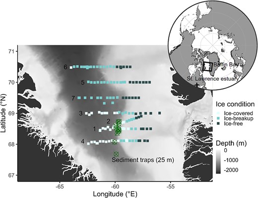 Stations sampled during the Green Edge project across the ice edge in Baffin Bay in June and July 2016. Transects are numbered chronologically. Reported locations of the drifting sediment trap are shown with cross-circle symbols. Baffin Bay and the St. Lawrence maritime estuary are indicated on the Arctic Ocean map. Zooplankton communities from the St. Lawrence are strongly influenced by Arctic water masses flowing along the Labrador shelf and entering through the Strait of Belle-Isle.