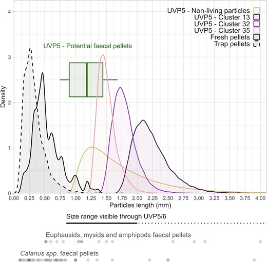 Size comparison of non-living particles imaged by the Underwater Vision Profiler 5 (UVP5) (n = 992 759; from EcoTaxa), of the pellet-like particles in cluster #13 (n = 16 909), cluster #32 (n = 15 671) and cluster #35 (n = 18 191), of copepod fresh pellets (n = 147), of trap pellets from the sediment trap (n = 3 769) and of the 18 potential fecal pellets visually identified from UVP5 images. Literature data for fecal pellets of Arctic Calanus spp. and euphausiids, mysids and amphipods are presented in gray (Table S2) as well as the size range visible by UVP5 in black, dotted for the entire range and solid for the quantitative range (Picheral et al., 2010). Area under each curve is equal to one.