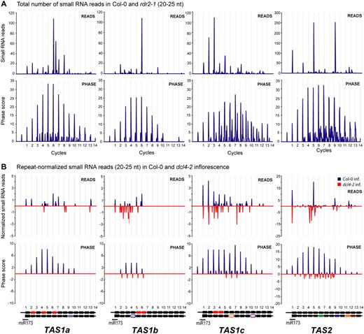 Distribution and Abundance of 21-Nucleotide Small RNAs in TAS1a, TAS1b, TAS1c, and TAS2.