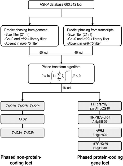Flowchart for Identification of RDR6-Dependent, Phased, Small RNA–Generating Loci.