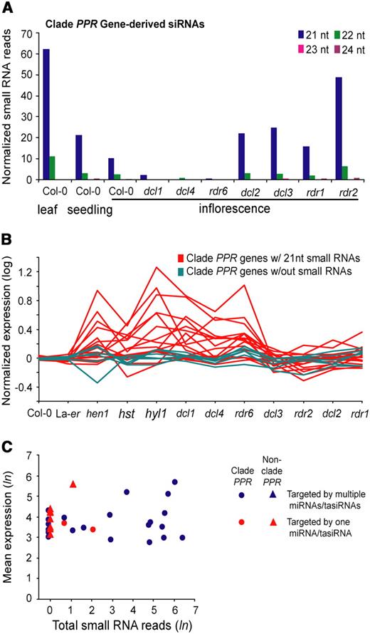 Analysis of PPR-P Clade Genes and siRNAs.