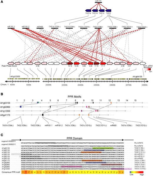 Targeting of the PPR Gene Family by miRNAs and tasiRNAs.