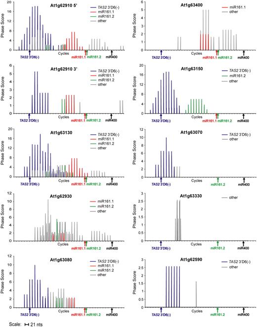 Phase Transform Plots for Nine Arabidopsis PPR Genes.