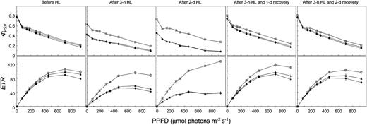 Light–Response Curves of PSII Quantum Yield and ETR in Wild-Type and lqy1 Mutants.