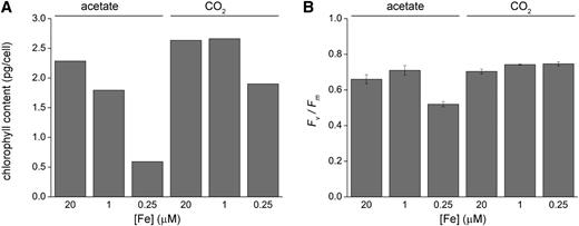 Iron Limitation Has a Major Effect on Photosynthesis in Photoheterotrophically Grown C. reinhardtii Cells.