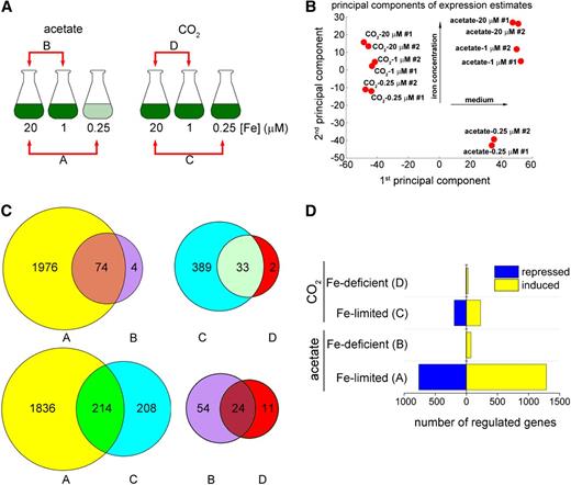 Identification of Iron Nutrition–Responsive Genes.