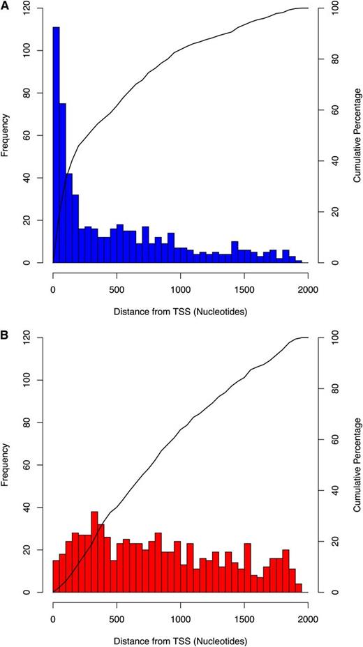 Alignments Produced in Orthologous Promoters Reveal a Positional Bias toward the TSS.