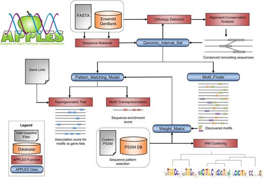 APPLES Software Facilitates the Analysis of Noncoding Sequences in Plant Genomes.